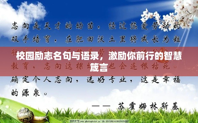 校园励志名句与语录,激励你前行的智慧箴言