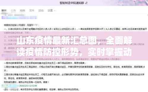 山东疫情最新汇总图,全面解读疫情防控形势,实时掌握动态数据!