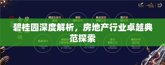 碧桂园深度解析,房地产行业卓越典范探索