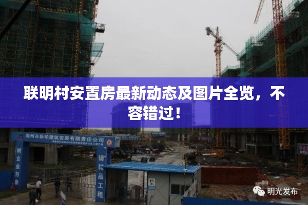 真独简贵 第2页