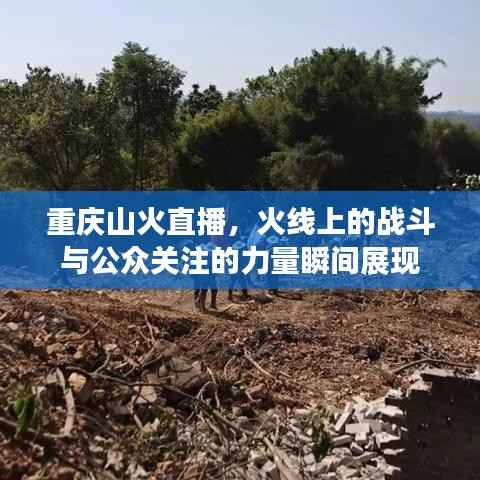 重庆山火直播，火线上的战斗与公众关注的力量瞬间展现