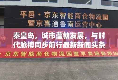秦皇岛,城市蓬勃发展,与时代脉搏同步前行最新新闻头条