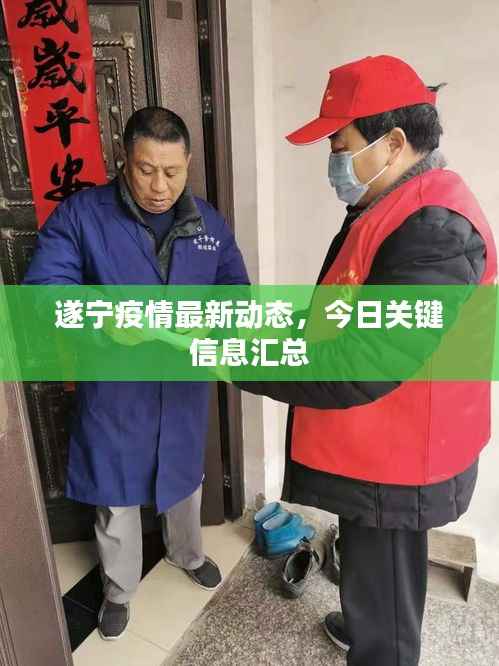 遂宁疫情最新动态,今日关键信息汇总