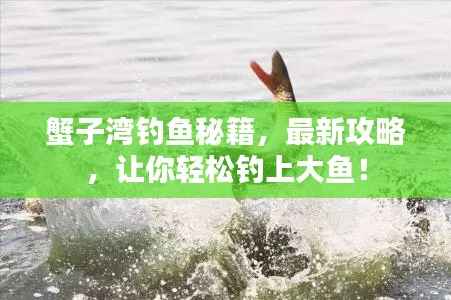 蟹子湾钓鱼秘籍，最新攻略，让你轻松钓上大鱼！