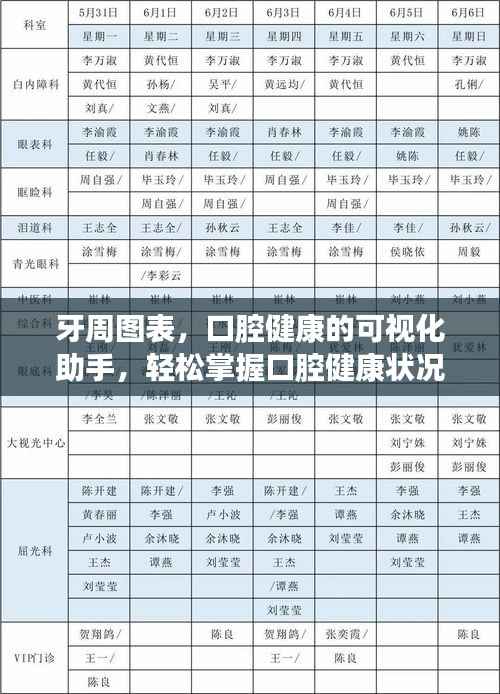 牙周图表，口腔健康的可视化助手，轻松掌握口腔健康状况