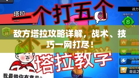 敌方塔拉攻略详解,战术、技巧一网打尽!