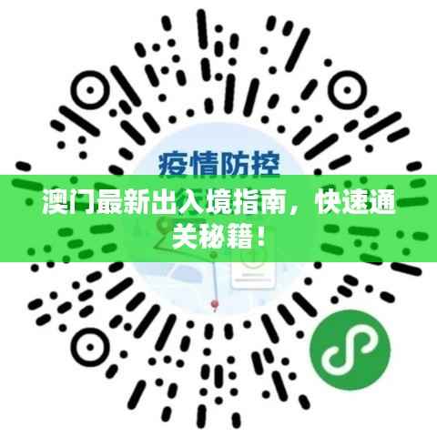 澳门最新出入境指南，快速通关秘籍！