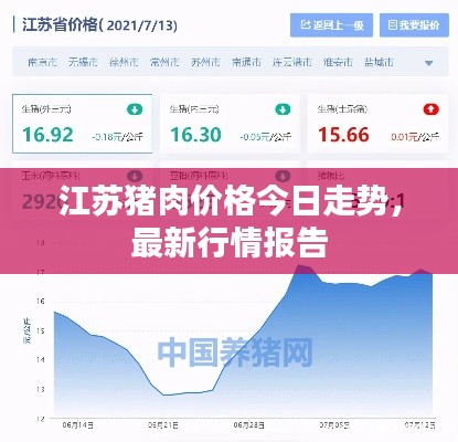 观往知来 第2页