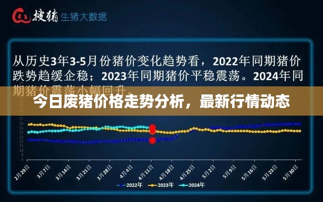 今日废猪价格走势分析，最新行情动态