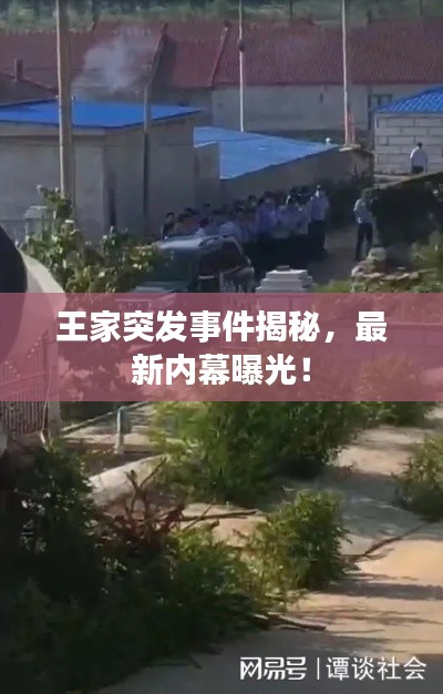 王家突发事件揭秘，最新内幕曝光！