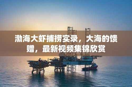 渤海大虾捕捞实录,大海的馈赠,最新视频集锦欣赏