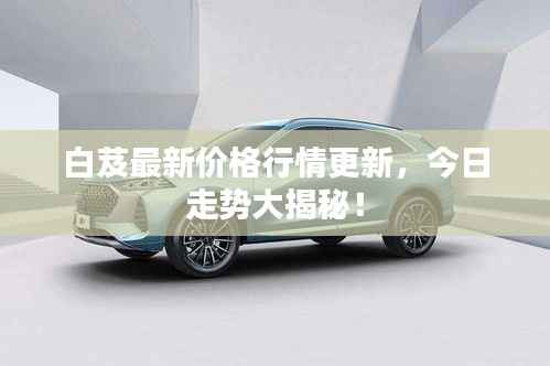 白芨最新价格行情更新，今日走势大揭秘！