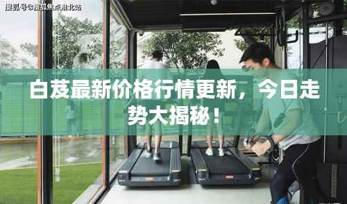 白芨最新价格行情更新,今日走势大揭秘!