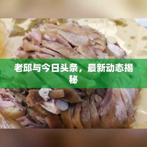 老邱与今日头条,最新动态揭秘