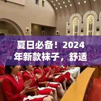 夏日必备！2024年新款袜子，舒适时尚多功能，让你爱不释手