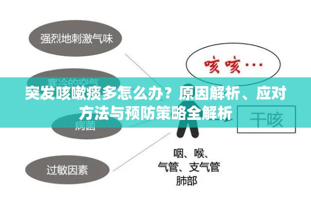 突发咳嗽痰多怎么办？原因解析、应对方法与预防策略全解析