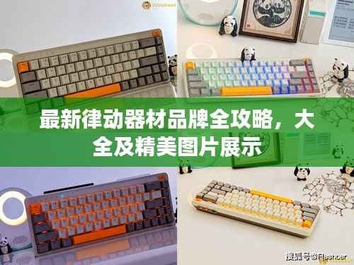 最新律动器材品牌全攻略,大全及精美图片展示