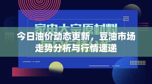 今日油价动态更新,豆油市场走势分析与行情速递