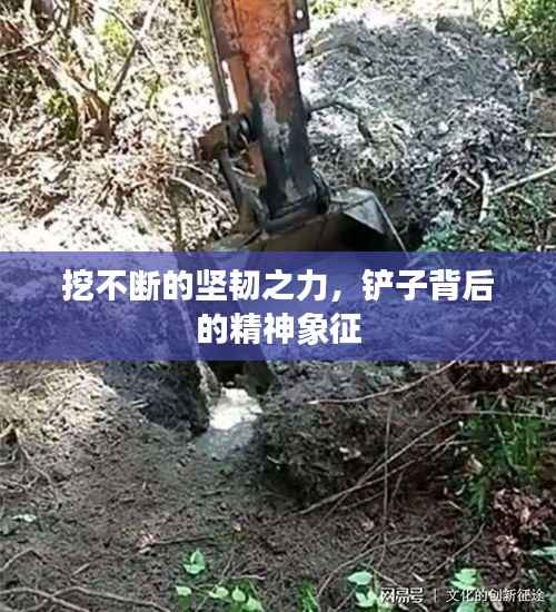 挖不断的坚韧之力，铲子背后的精神象征