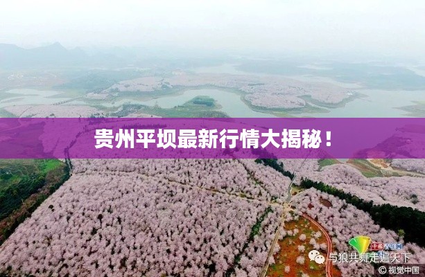 贵州平坝最新行情大揭秘!