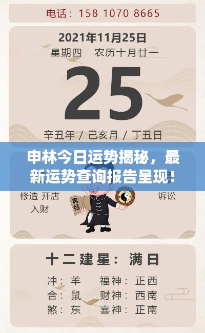 申林今日运势揭秘，最新运势查询报告呈现！