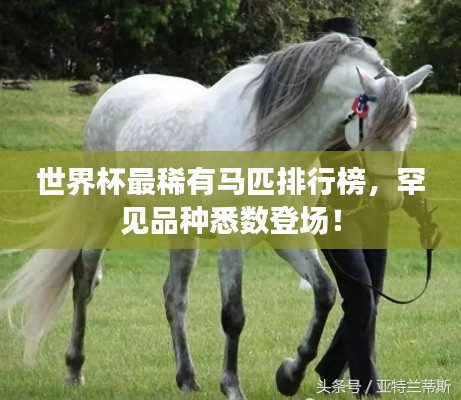 世界杯最稀有马匹排行榜,罕见品种悉数登场!