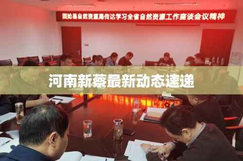 河南新蔡最新动态速递