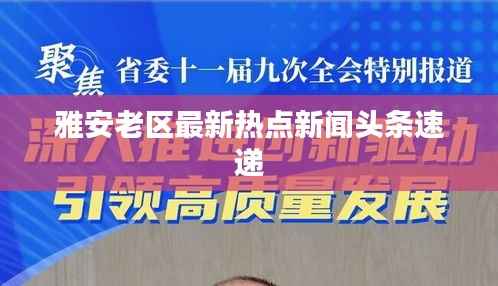 雅安老区最新热点新闻头条速递