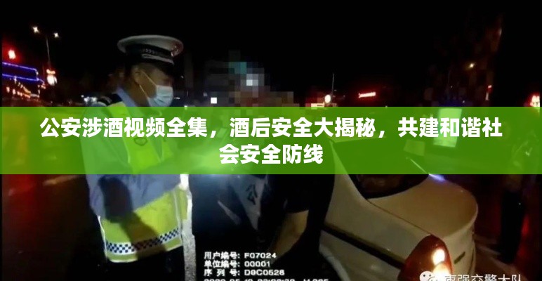 公安涉酒视频全集,酒后安全大揭秘,共建和谐社会安全防线