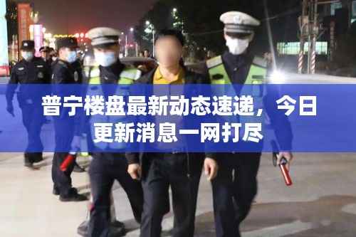 普宁楼盘最新动态速递,今日更新消息一网打尽