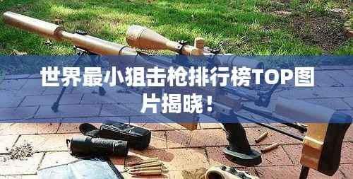 世界最小狙击枪排行榜TOP图片揭晓!