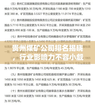 贵州煤矿公司排名揭晓,行业影响力不容小觑