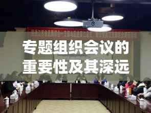 专题组织会议的重要性及其深远影响