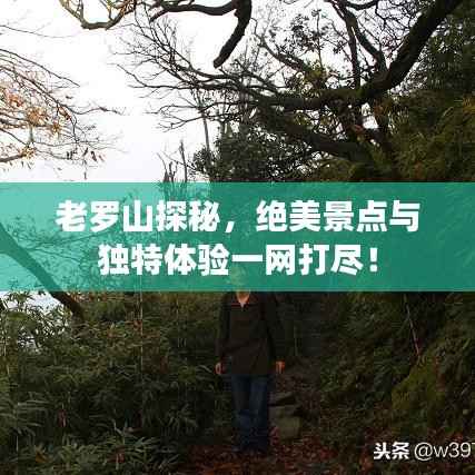 老罗山探秘,绝美景点与独特体验一网打尽!