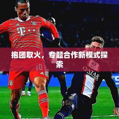 抱团取火，专题合作新模式探索