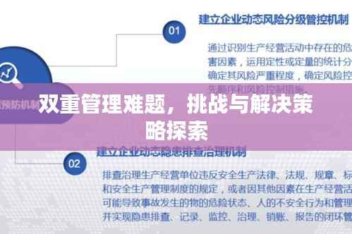 双重管理难题,挑战与解决策略探索