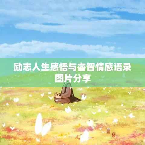 励志人生感悟与睿智情感语录图片分享