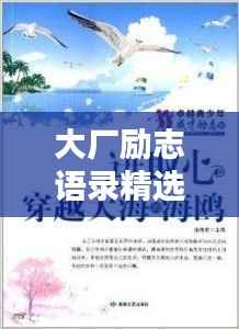 大厂励志语录精选,激发潜能,卓越人生之路