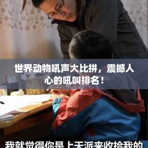 世界动物吼声大比拼,震撼人心的吼叫排名!